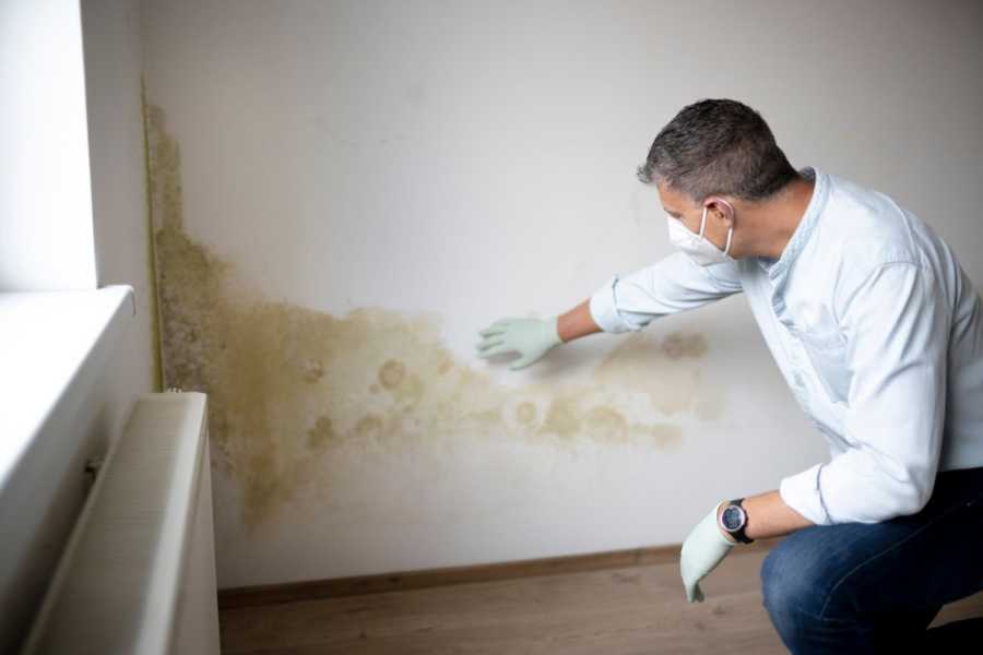 Mold in the apartment - when can you not pay rent?