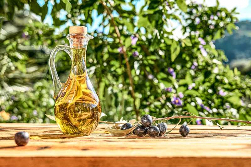 Olive oil production in Liguria