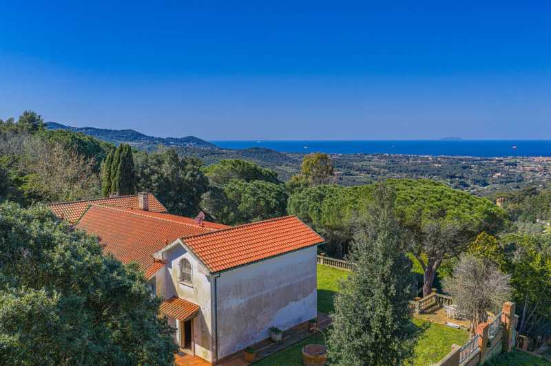 Seaview villa in Livorno