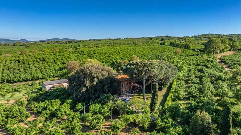 14-hectare plot with hazelnut trees for sale in Vetralla