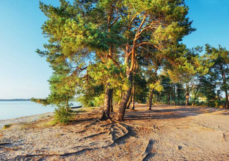 Camping by the sea in Tuscany for sale