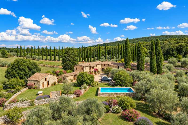 Land for sale with olive trees near Siena, Tuscany