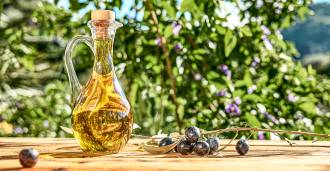 Olive oil production in Liguria