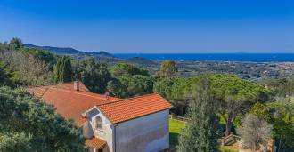 Seaview villa in Livorno