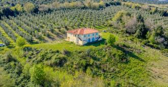 Estate in Manciano, Tuscany for sale