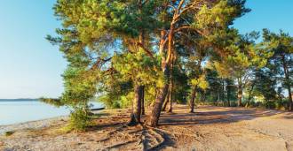 Camping by the sea in Tuscany for sale