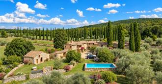 Land for sale with olive trees near Siena, Tuscany