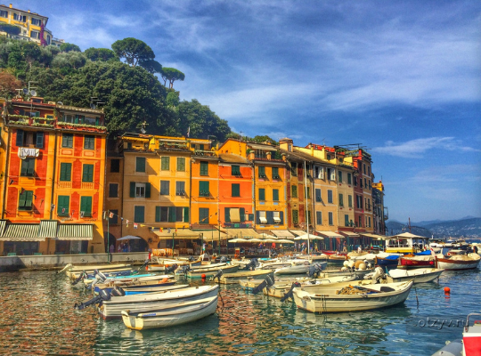 Italian Liguria - Port Region 2021